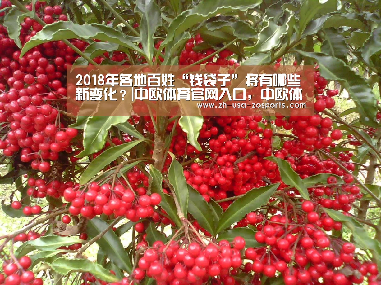 2018年各地百姓“钱袋子”将有哪些新变化?|中欧体育官网入口,中欧体育官方下载,中欧体育平台(图2) 中欧体育官网入口,中欧体育官方下载,中欧体育平台