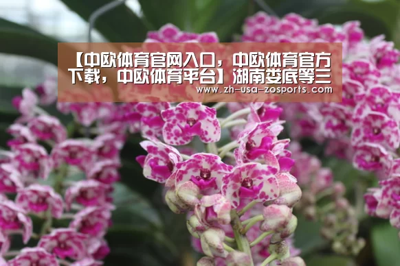 【中欧体育官网入口,中欧体育官方下载,中欧体育平台】湖南娄底等三市州入列国家区域级流通节点城市(图4) 中欧体育官网入口,中欧体育官方下载,中欧体育平台