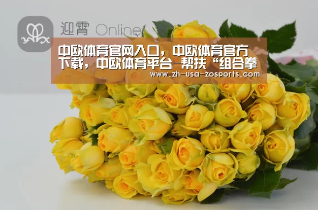中欧体育官网入口，中欧体育官方下载，中欧体育平台