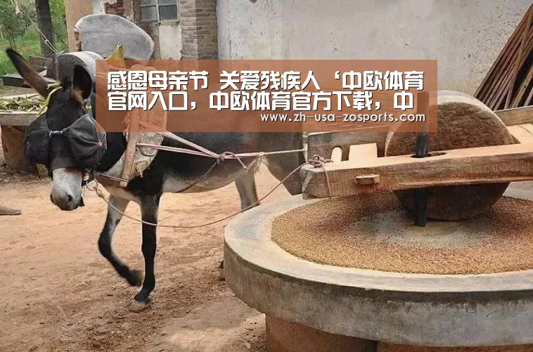 感恩母亲节 关爱残疾人‘中欧体育官网入口,中欧体育官方下载,中欧体育平台’(图1) 中欧体育官网入口,中欧体育官方下载,中欧体育平台