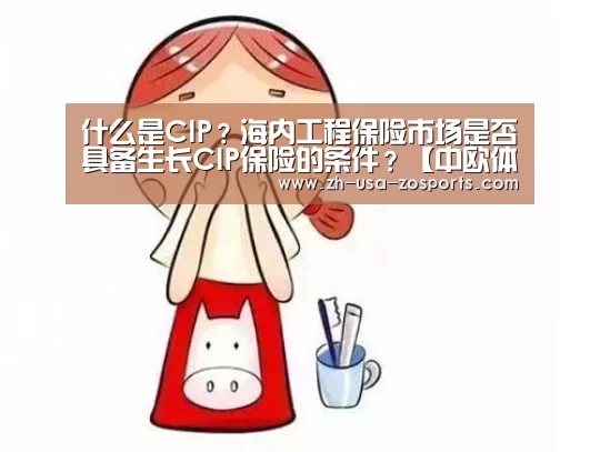 什么是CIP?海内工程保险市场是否具备生长CIP保险的条件?【中欧体育官网入口,中欧体育官方下载,中欧体育平台】(图2) 中欧体育官网入口,中欧体育官方下载,中欧体育平台