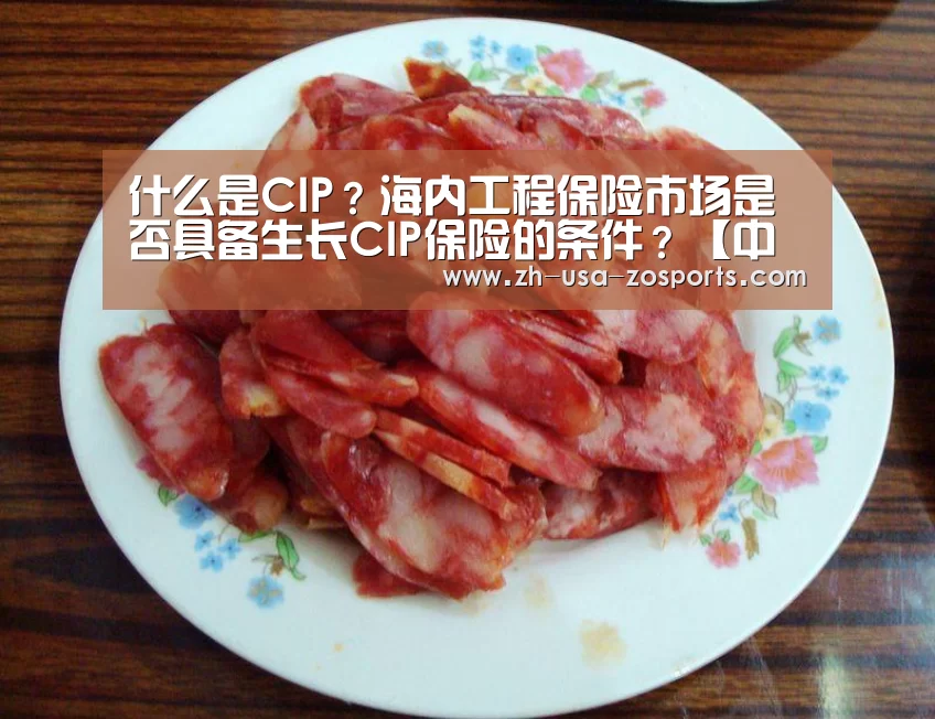 什么是CIP?海内工程保险市场是否具备生长CIP保险的条件?【中欧体育官网入口,中欧体育官方下载,中欧体育平台】(图1) 中欧体育官网入口,中欧体育官方下载,中欧体育平台