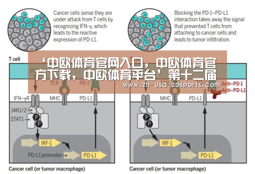 ‘中欧体育官网入口,中欧体育官方下载,中欧体育平台’第十二届和田玉石文化旅游节暨首次网络玉石节开幕(图1) 中欧体育官网入口,中欧体育官方下载,中欧体育平台