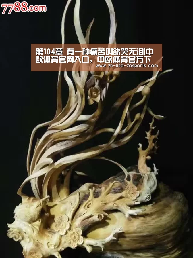 中欧体育官网入口，中欧体育官方下载，中欧体育平台