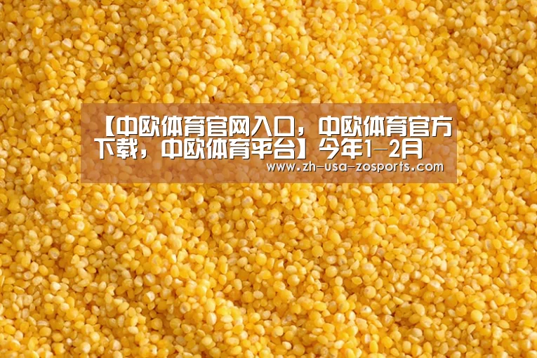 中欧体育官网入口，中欧体育官方下载，中欧体育平台