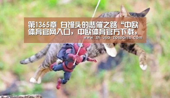 中欧体育官网入口，中欧体育官方下载，中欧体育平台