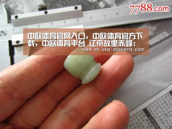 中欧体育官网入口，中欧体育官方下载，中欧体育平台