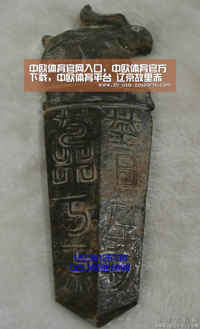 中欧体育官网入口，中欧体育官方下载，中欧体育平台