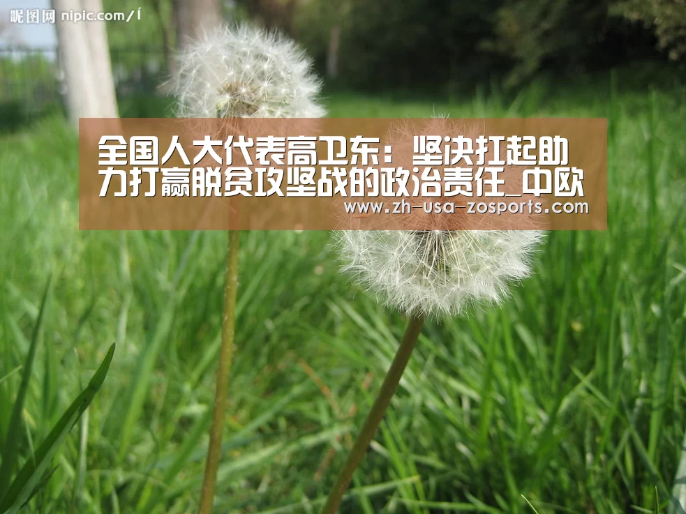 中欧体育官网入口，中欧体育官方下载，中欧体育平台