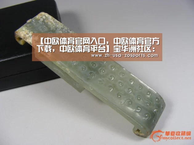 中欧体育官网入口，中欧体育官方下载，中欧体育平台