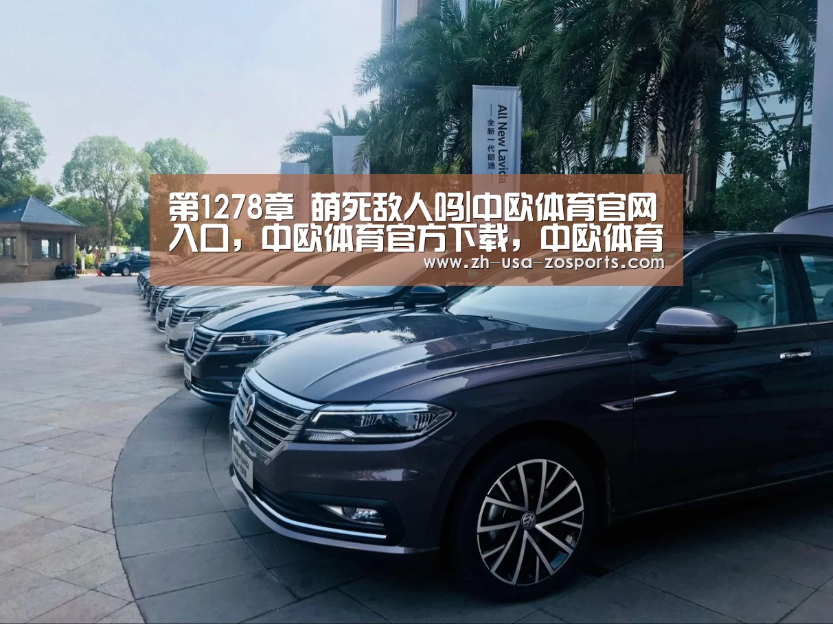 中欧体育官网入口，中欧体育官方下载，中欧体育平台