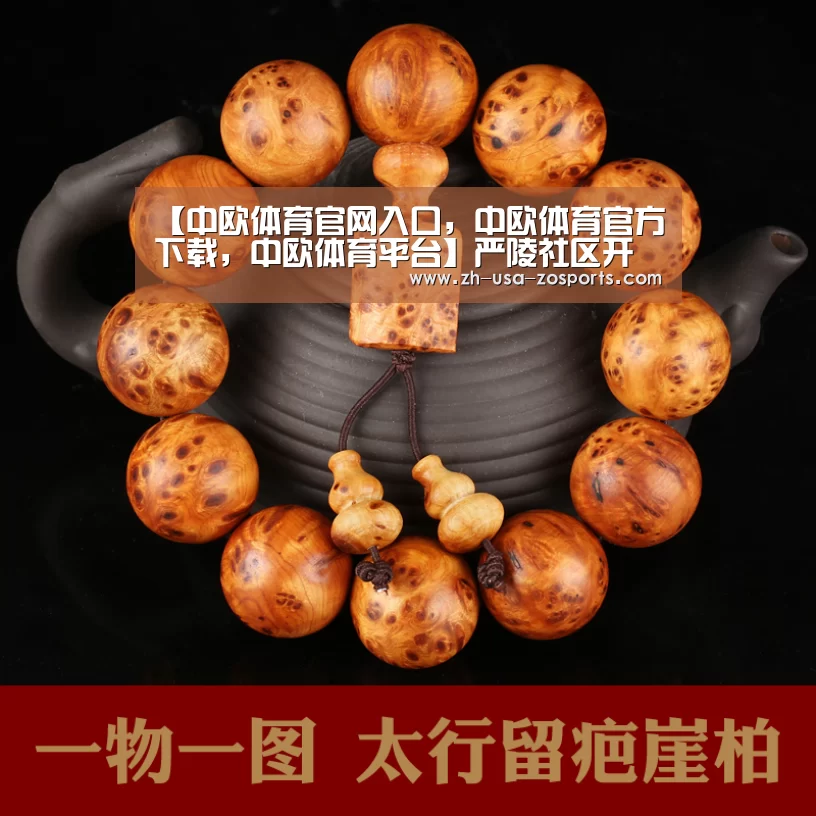 【中欧体育官网入口,中欧体育官方下载,中欧体育平台】严陵社区开展清明节期间禁火令宣传(图2) 中欧体育官网入口,中欧体育官方下载,中欧体育平台