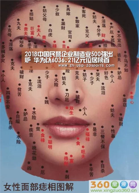 2018中国民营企业制造业500强出炉 华为以6036.21亿元位居榜首【中欧体育官网入口,中欧体育官方下载,中欧体育平台】(图3) 中欧体育官网入口,中欧体育官方下载,中欧体育平台