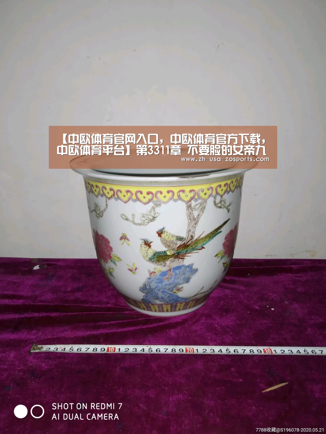 【中欧体育官网入口,中欧体育官方下载,中欧体育平台】第3311章 不要脸的女帝九(图1) 中欧体育官网入口,中欧体育官方下载,中欧体育平台