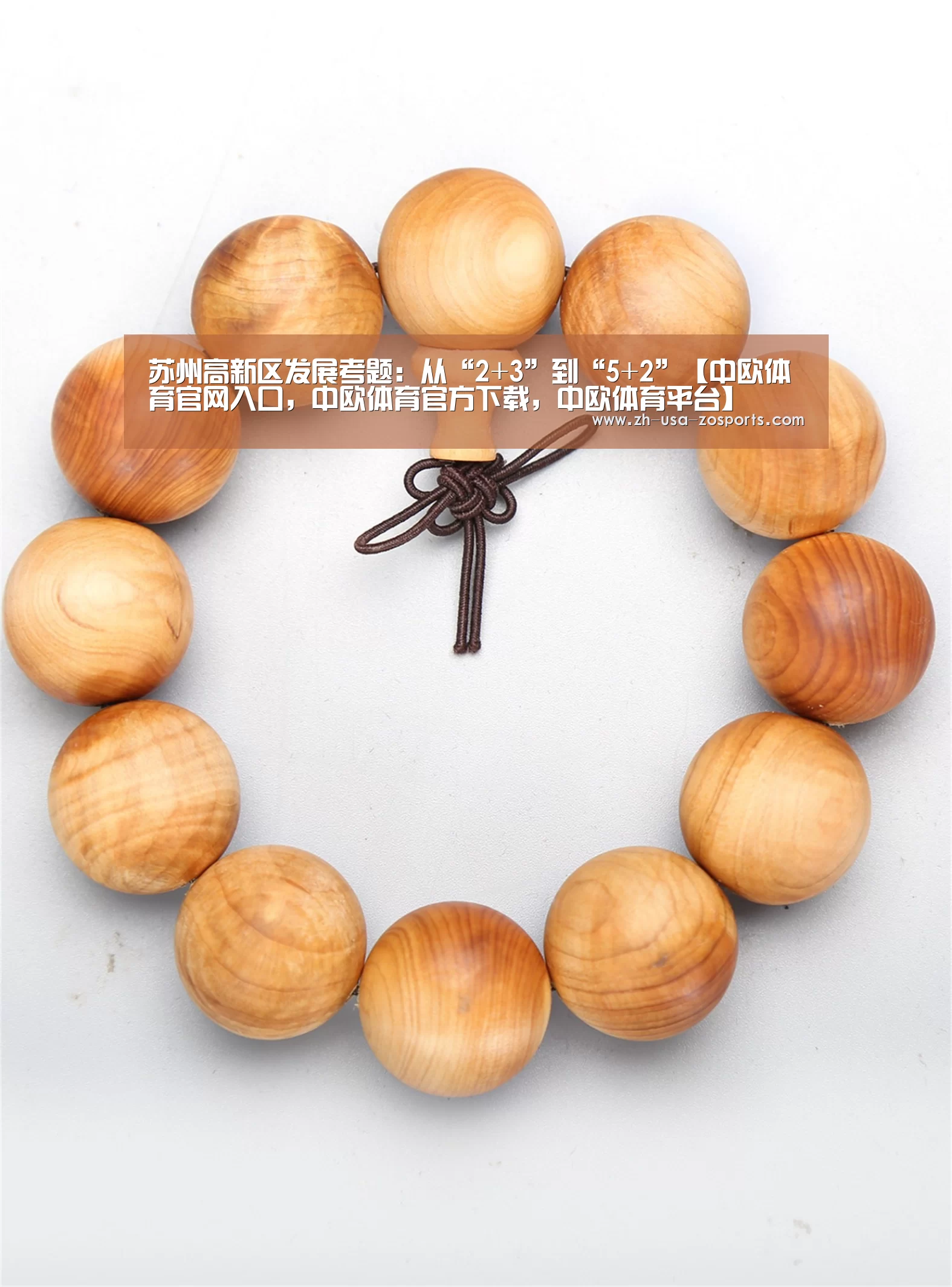 苏州高新区发展考题:从“2+3”到“5+2”【中欧体育官网入口,中欧体育官方下载,中欧体育平台】(图2) 中欧体育官网入口,中欧体育官方下载,中欧体育平台